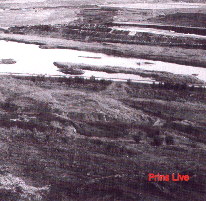 Prins, Gert Jan