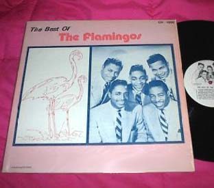 Best Of Flamingos listings
