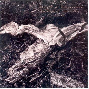 Plight And Premonition