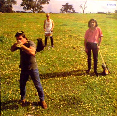 Down On The Farm listings