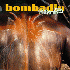 808 State Bombadin 12''