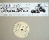 ...mehr Infos zu Various_Artists_of_Compost