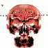 Grooverider The Prototype Years LP