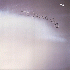 ...mehr Infos zu Young_Gods_The