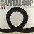 Us3 Cantaloop 12''