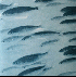 ...mehr Infos zu Jessamine_Flying_Saucer_Attack