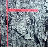 ...mehr Infos zu The Continuation (with orig. pic cover / see discogs.com for full info) im PopUp