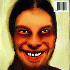 Aphex Twin - I Care Because You Do Album
