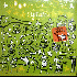 ...mehr Infos zu Groove_Collective