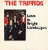 ...mehr Infos zu Triffids_The