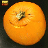 Moby - Honey CD