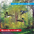 ...mehr Infos zu Commercial_Breakup