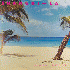 ...mehr Infos zu Playa_Rouge