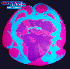 ...mehr Infos zu Cosmic_Baby
