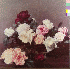 New Order - Power, Corruption & Lies Record