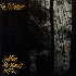 Walkabouts - Setting The Woods On Fire Album