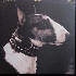 Here Comes Your Man - Pixies