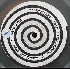 ...mehr Infos zu Spiral_Tribe
