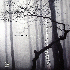 The Last Resort - Vinyl Editio listings