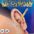 Butthole Surfers Electriclarryland LP