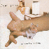 ...mehr Infos zu Sonic_Youth