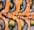 Sushidelic 1999 listings