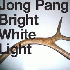 ...mehr Infos zu Jong_Pang