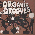...mehr Infos zu Organic_Grooves