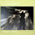 ...mehr Infos zu Kenny_Wheeler_Quintet