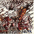 ...mehr Infos zu Hirax