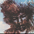 ...mehr Infos zu Hendrix_Jimi
