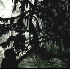 ...mehr Infos zu Mount_Eerie