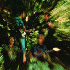 ...mehr Infos zu Creedence_Clearwater_Revival
