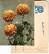...mehr Infos zu Postcard