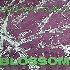 ...mehr Infos zu Holy_Love_Snakes