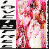 ...mehr Infos zu Robyn_La_Bagatelle_Magique
