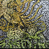 ...mehr Infos zu Circle_Takes_The_Square_