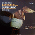 ...mehr Infos zu Previn_Andr%E9_feat_Vladimir_Ashkenazy_with_the_London_Symphony_