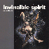 ...mehr Infos zu Invincible_Spirit_The