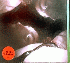 ...mehr Infos zu All_Seeing_I_The