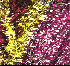 ...mehr Infos zu Fresh_Moods