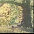 ...mehr Infos zu Plastic_Ono_Band